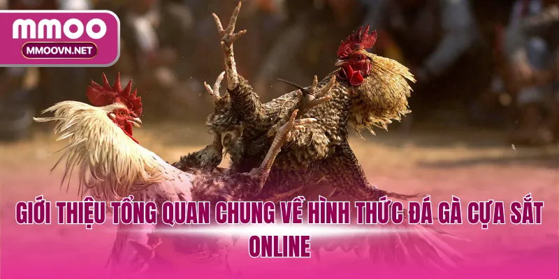 Giới thiệu tổng quan chung về hình thức đá gà cựa sắt online