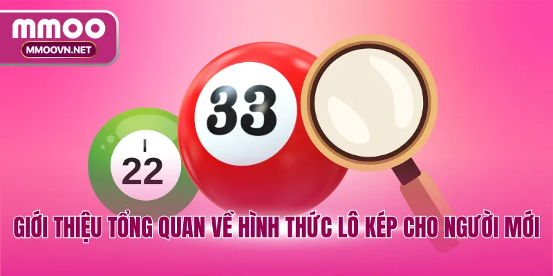 Giới thiệu tổng quan về hình thức lô kép cho người mới