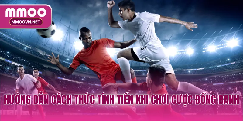 Hướng dẫn cách thức tính tiền khi chơi cược đồng banh
