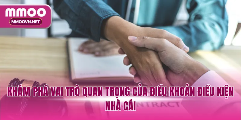 Khám phá vai trò quan trọng của điều khoản điều kiện nhà cái