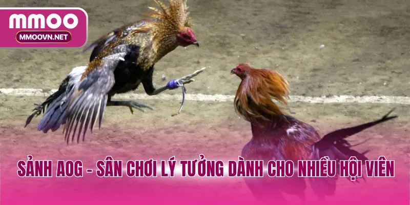 Sảnh AOG - Sân chơi lý tưởng dành cho nhiều hội viên