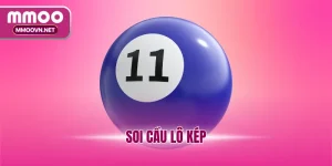 Soi cầu lô kép
